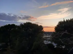 Jacquelien 14 In werkelijkheid veel mooier